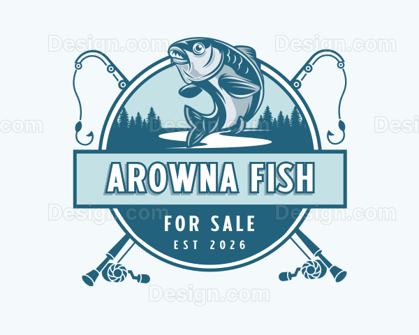 Arowana Fish For Sale